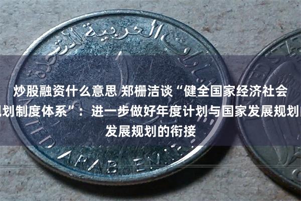 炒股融资什么意思 郑栅洁谈“健全国家经济社会发展规划制度体系”：进一步做好年度计划与国家发展规划的衔接