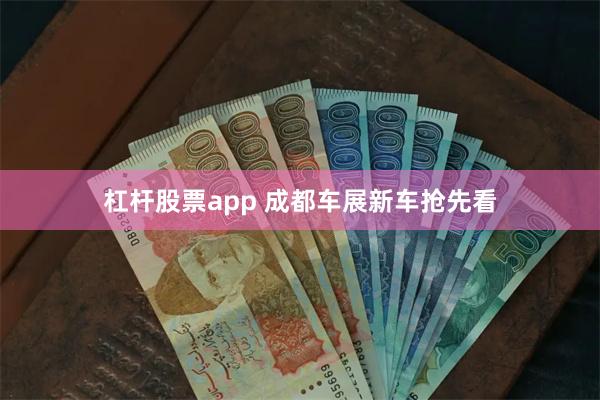 杠杆股票app 成都车展新车抢先看