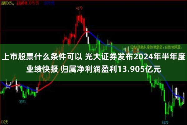 上市股票什么条件可以 光大证券发布2024年半年度业绩快报 归属净利润盈利13.905亿元