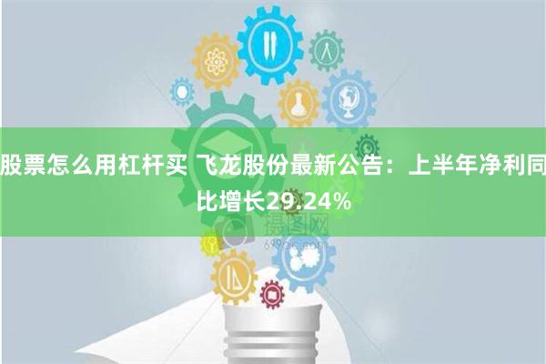 股票怎么用杠杆买 飞龙股份最新公告：上半年净利同比增长29.24%