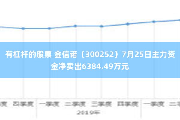 有杠杆的股票 金信诺（300252）7月25日主力资金净卖出6384.49万元