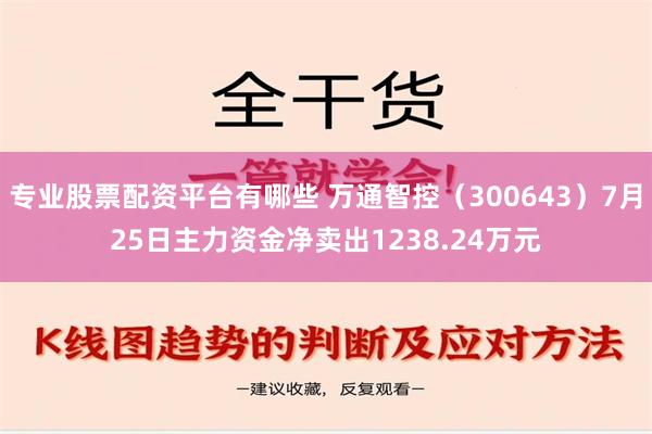 专业股票配资平台有哪些 万通智控（300643）7月25日主力资金净卖出1238.24万元