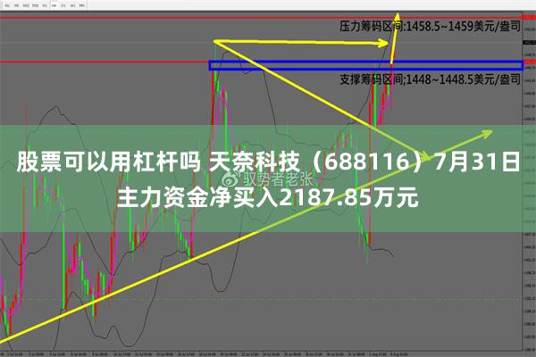 股票可以用杠杆吗 天奈科技（688116）7月31日主力资金净买入2187.85万元