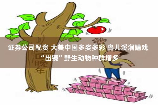 证券公司配资 大美中国多姿多彩 鸟儿溪涧嬉戏 “出镜”野生动物种群增多