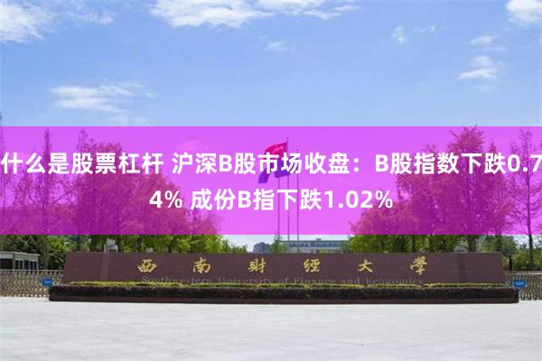 什么是股票杠杆 沪深B股市场收盘：B股指数下跌0.74% 成份B指下跌1.02%