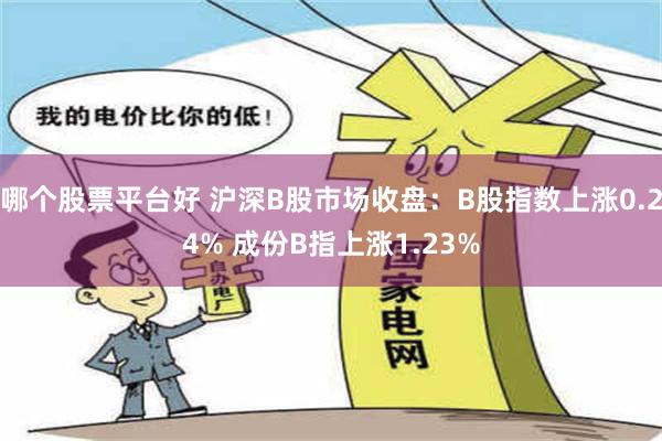 哪个股票平台好 沪深B股市场收盘：B股指数上涨0.24% 成份B指上涨1.23%