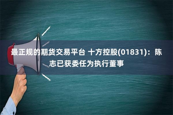 最正规的期货交易平台 十方控股(01831)：陈志已获委任为执行董事