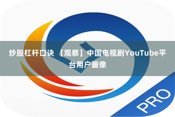 炒股杠杆口诀 【观察】中国电视剧YouTube平台用户画像